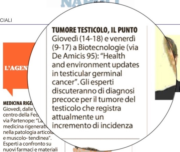 Rassegna Stampa